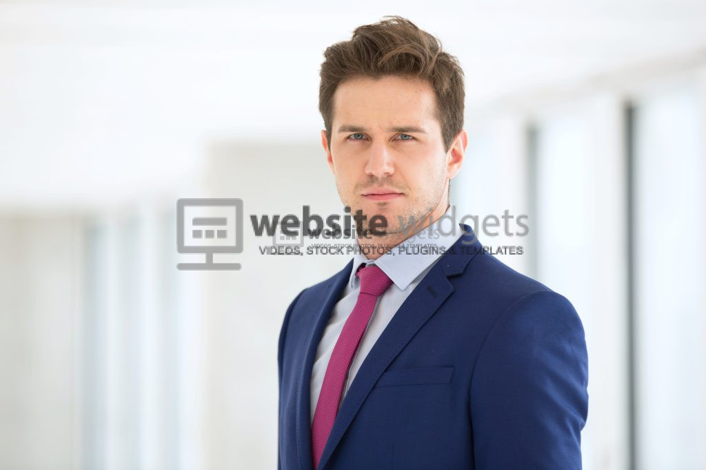 Confident young businessman wearing suit in office